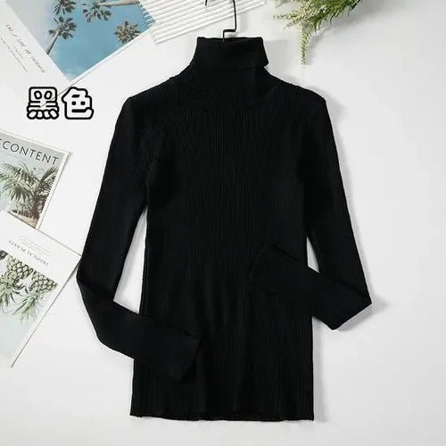 Pull à col roulé simple - deslyshopping