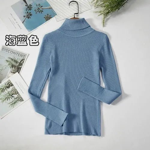 Pull à col roulé simple - deslyshopping