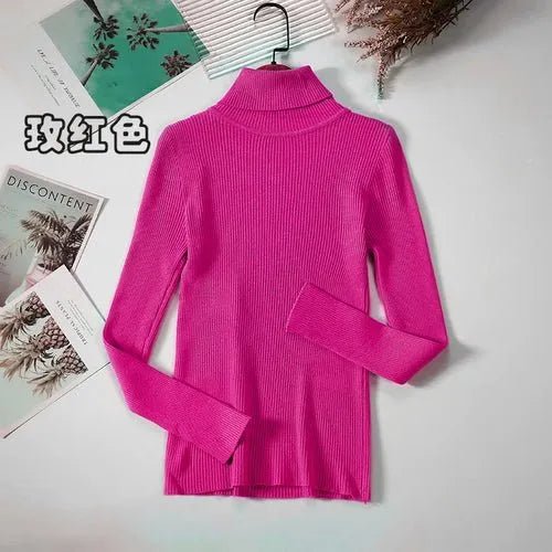 Pull à col roulé simple - deslyshopping