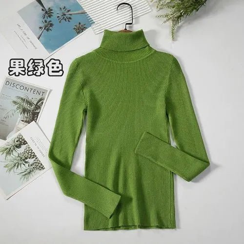 Pull à col roulé simple - deslyshopping