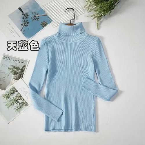 Pull à col roulé simple - deslyshopping