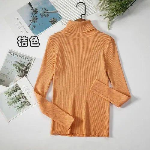 Pull à col roulé simple - deslyshopping