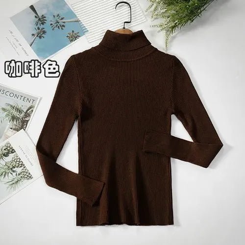 Pull à col roulé simple - deslyshopping