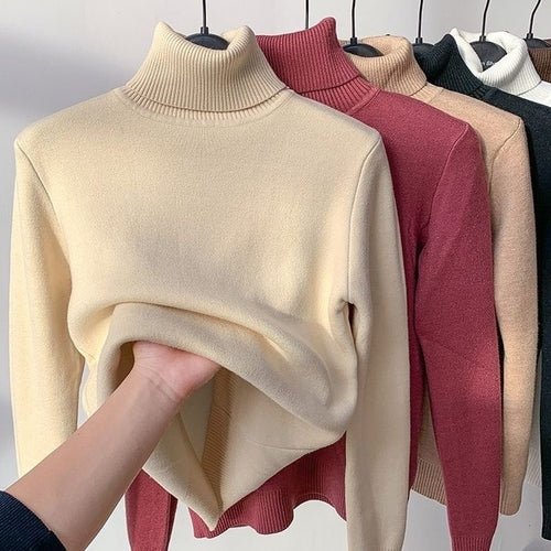 Pull d'hiver à col roulé - deslyshopping