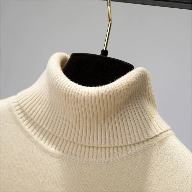 Pull d'hiver à col roulé - deslyshopping