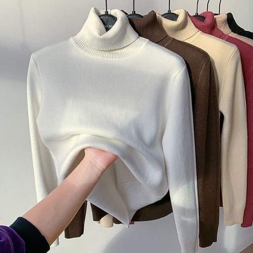 Pull d'hiver à col roulé - deslyshopping