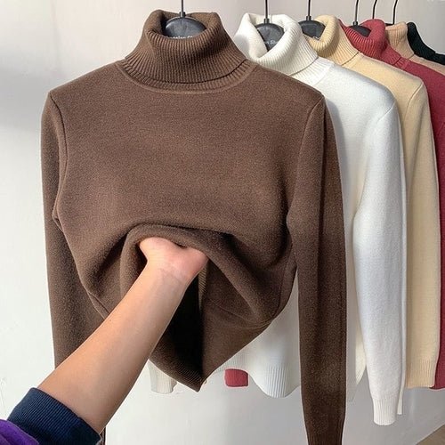 Pull d'hiver à col roulé - deslyshopping