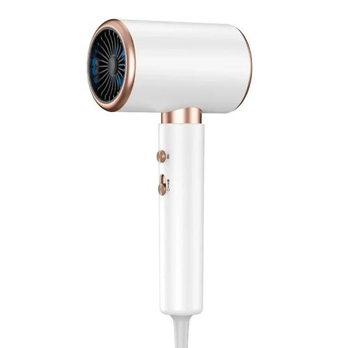 Sèche - cheveux Turbine électrique - deslyshopping